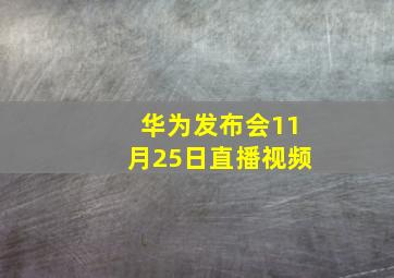 华为发布会11月25日直播视频