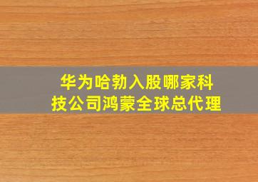 华为哈勃入股哪家科技公司鸿蒙全球总代理