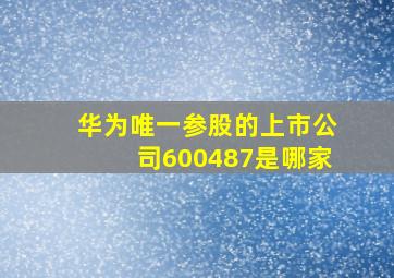 华为唯一参股的上市公司600487是哪家