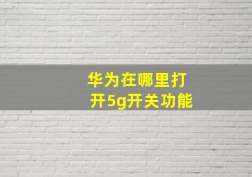 华为在哪里打开5g开关功能