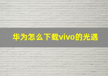 华为怎么下载vivo的光遇