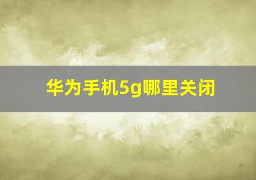 华为手机5g哪里关闭