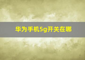 华为手机5g开关在哪