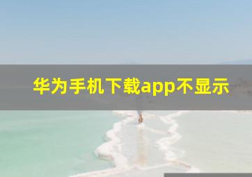 华为手机下载app不显示