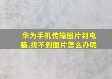 华为手机传输图片到电脑,找不到图片怎么办呢