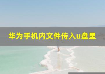 华为手机内文件传入u盘里