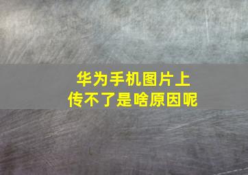 华为手机图片上传不了是啥原因呢