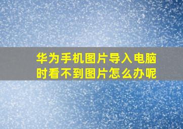 华为手机图片导入电脑时看不到图片怎么办呢