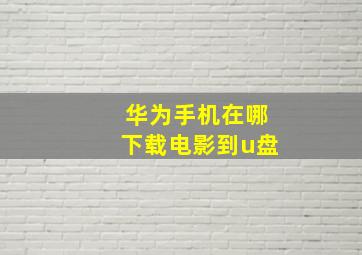 华为手机在哪下载电影到u盘