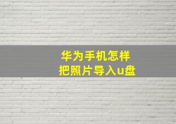 华为手机怎样把照片导入u盘