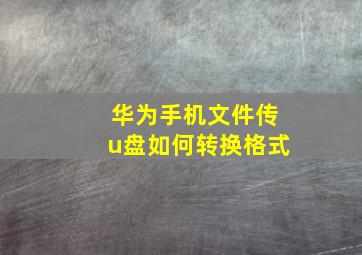 华为手机文件传u盘如何转换格式