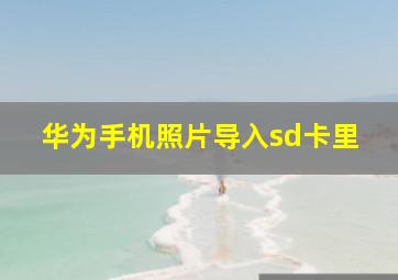 华为手机照片导入sd卡里