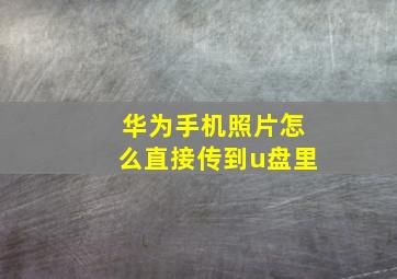 华为手机照片怎么直接传到u盘里