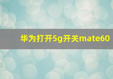 华为打开5g开关mate60