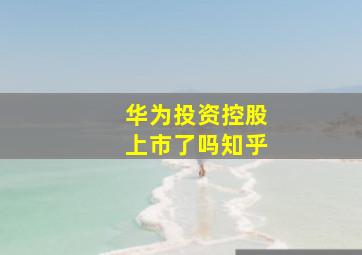 华为投资控股上市了吗知乎