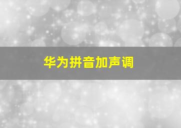 华为拼音加声调