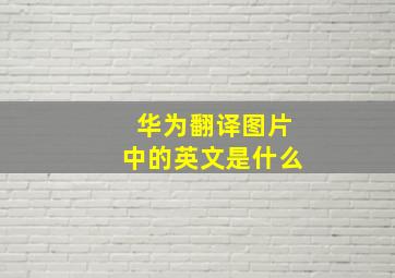 华为翻译图片中的英文是什么