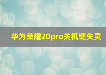 华为荣耀20pro关机键失灵