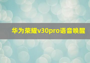 华为荣耀v30pro语音唤醒