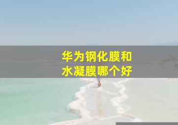 华为钢化膜和水凝膜哪个好