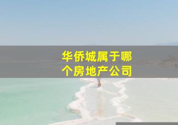 华侨城属于哪个房地产公司