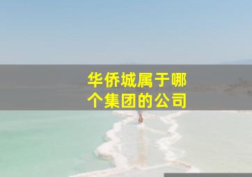 华侨城属于哪个集团的公司