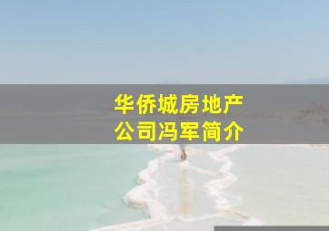 华侨城房地产公司冯军简介