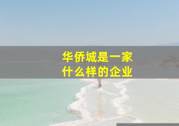 华侨城是一家什么样的企业