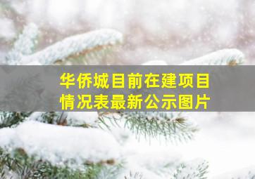 华侨城目前在建项目情况表最新公示图片