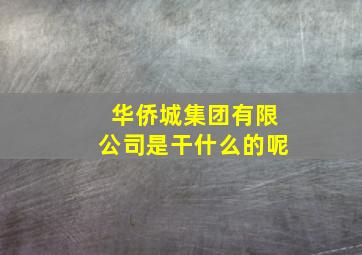 华侨城集团有限公司是干什么的呢