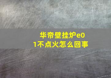 华帝壁挂炉e01不点火怎么回事