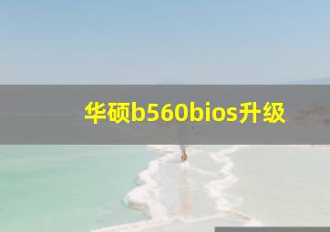 华硕b560bios升级