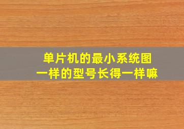 单片机的最小系统图一样的型号长得一样嘛