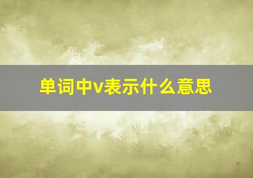 单词中v表示什么意思