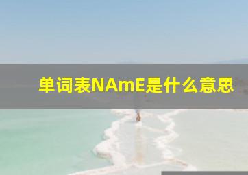 单词表NAmE是什么意思