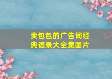 卖包包的广告词经典语录大全集图片