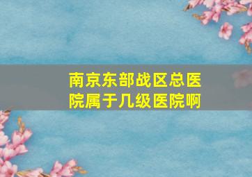 南京东部战区总医院属于几级医院啊