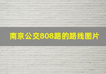 南京公交808路的路线图片