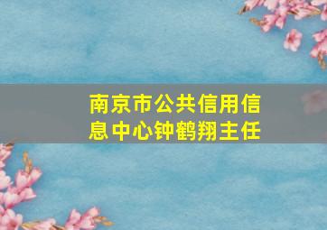 南京市公共信用信息中心钟鹤翔主任