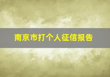 南京市打个人征信报告