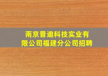 南京普迪科技实业有限公司福建分公司招聘