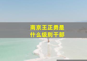 南京王正勇是什么级别干部