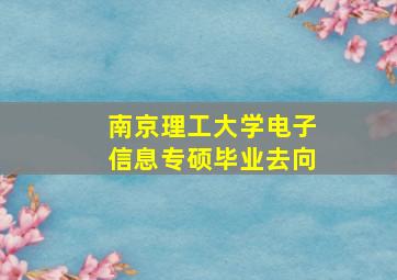 南京理工大学电子信息专硕毕业去向