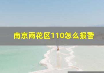 南京雨花区110怎么报警