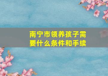 南宁市领养孩子需要什么条件和手续