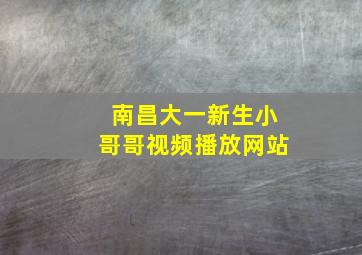 南昌大一新生小哥哥视频播放网站