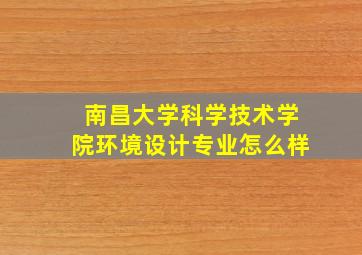 南昌大学科学技术学院环境设计专业怎么样