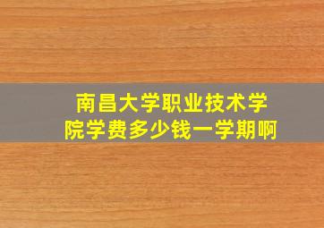 南昌大学职业技术学院学费多少钱一学期啊