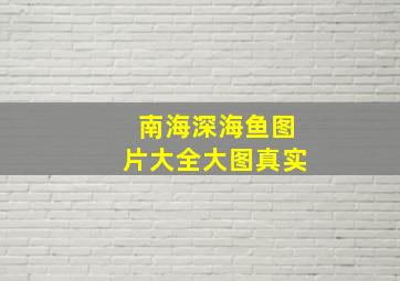 南海深海鱼图片大全大图真实