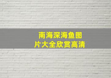 南海深海鱼图片大全欣赏高清